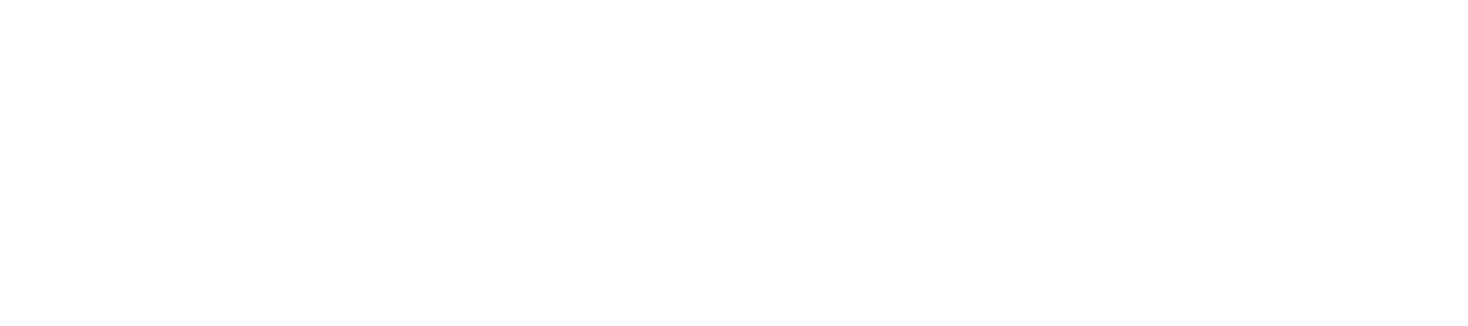 Ring2